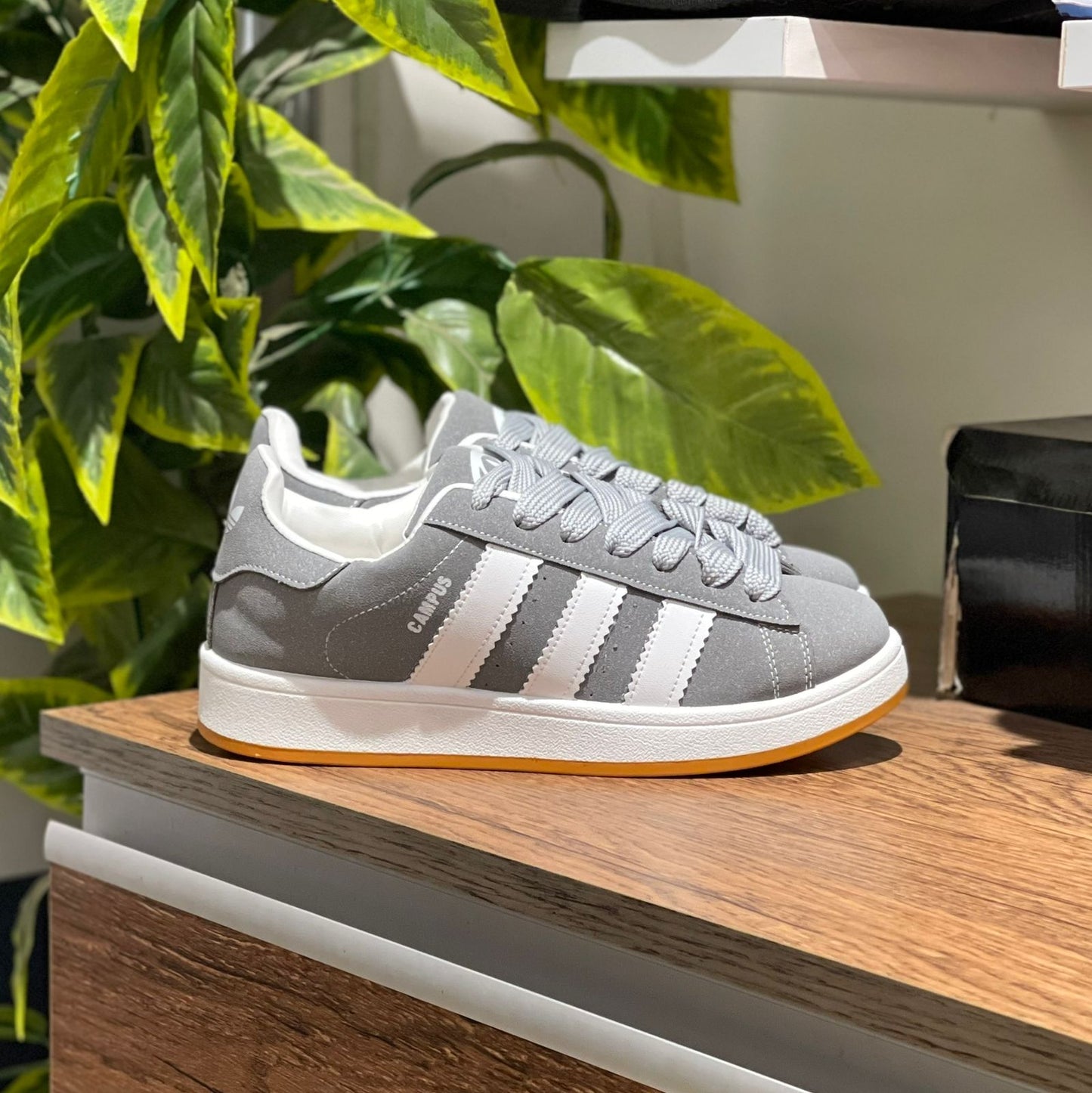 Adidas Campus Grey