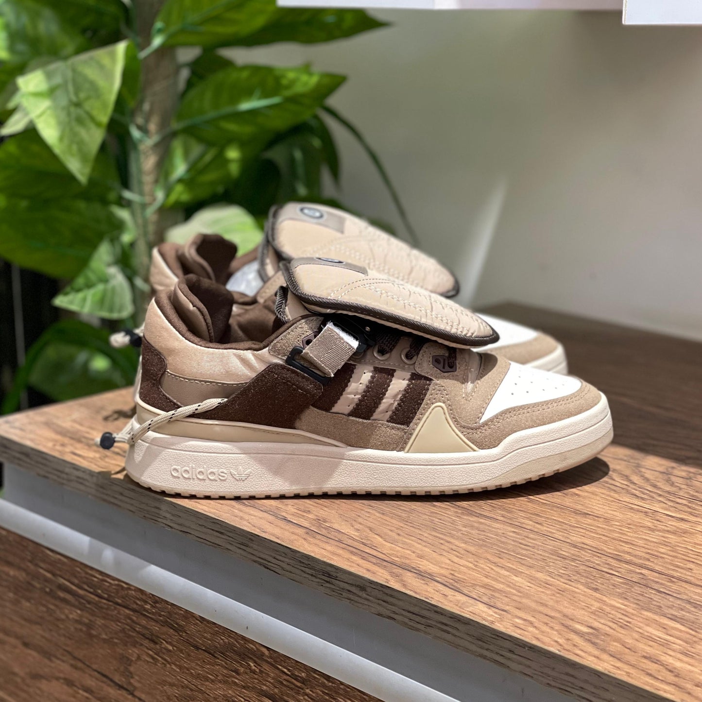 Adidas Bad Bunny Brown