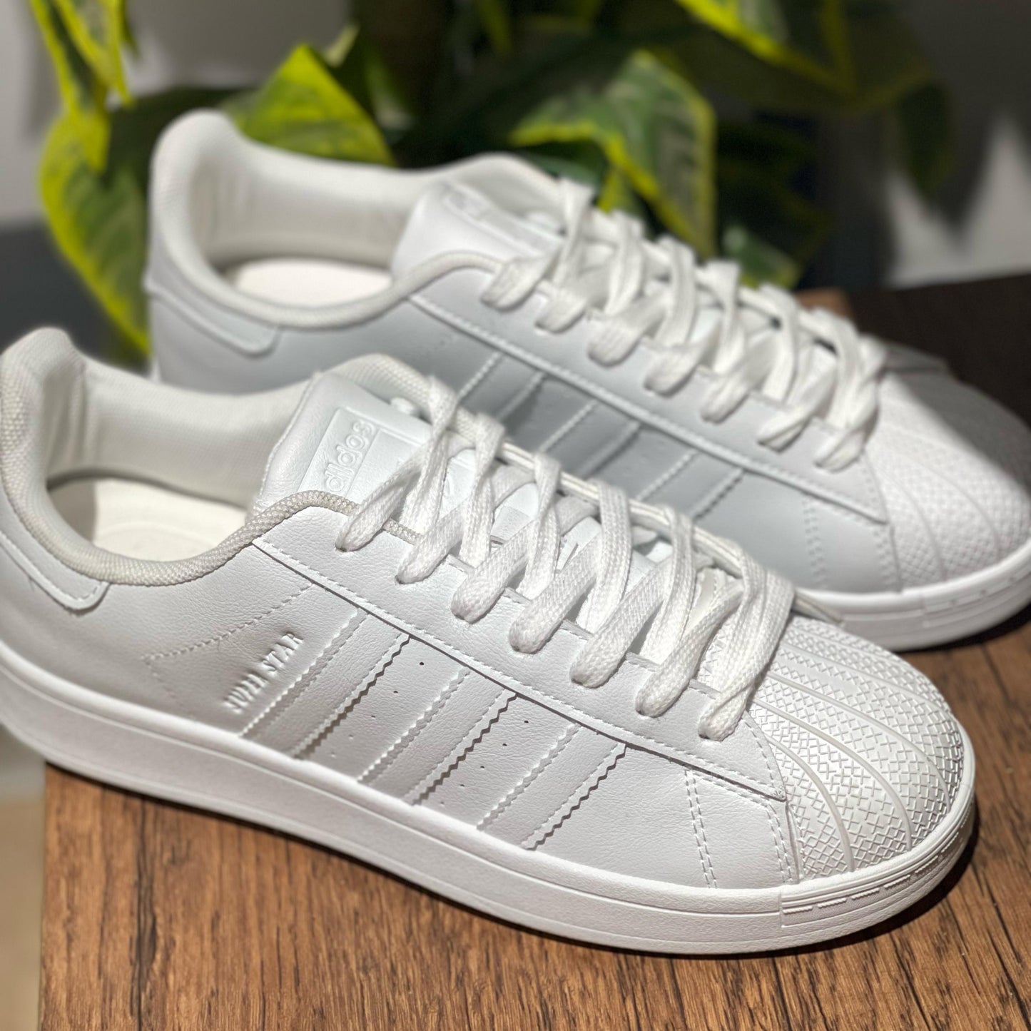 Superstar White