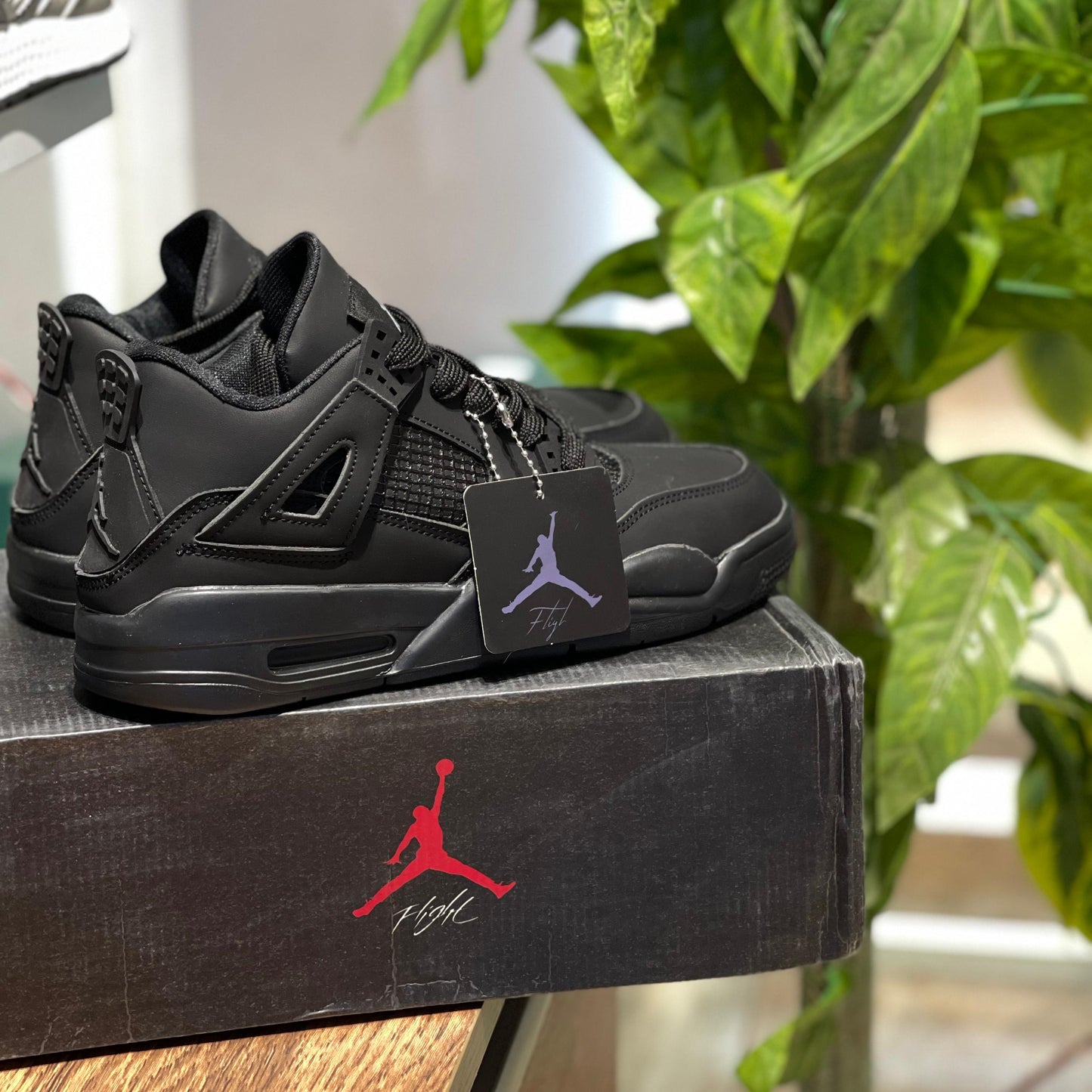 Jordan Black Cat "With Box"